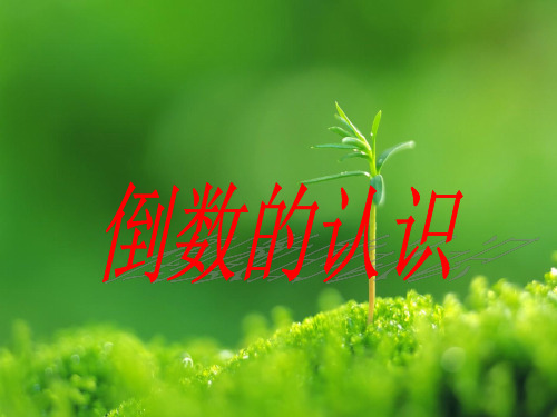 苏教版数学六上2.6《倒数的认识》ppt课件(2)