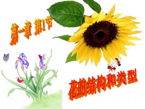 1花的结构和类型