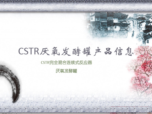 CSTR厌氧发酵罐产品信息