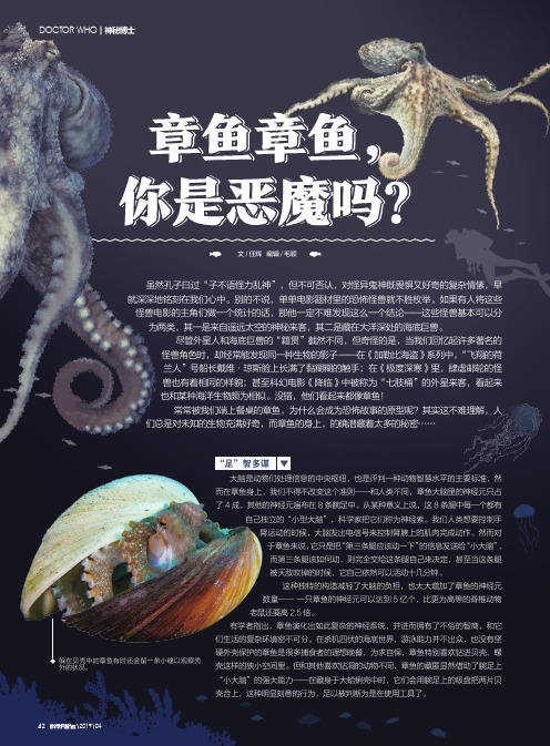 章鱼章鱼,你是恶魔吗？