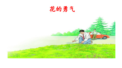 人教版4年级下第5单元第18课《花的勇气》预习课件