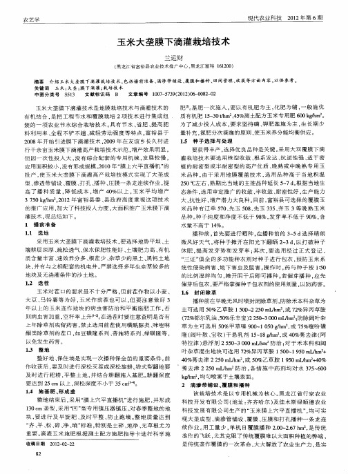 玉米大垄膜下滴灌栽培技术