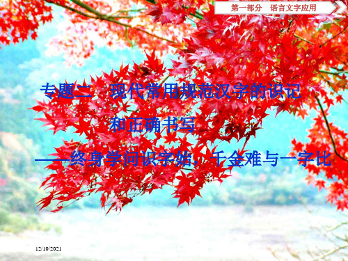 高考语文大一轮复习 专题二 现代常用规范汉字的识记和正确书写课件