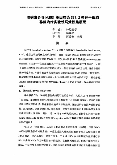 腺病毒介导NRR1基因转柒C17.2神经干细胞移植治疗实验性局灶性脑梗死