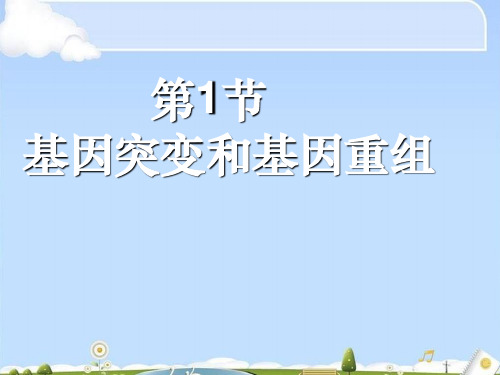 人教版高中生物必修二第5章第1节基因突变和基因重组 课件(共32张PPT)