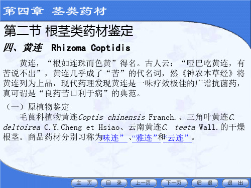 第四章茎类第二节(四)黄连～(七)川芎