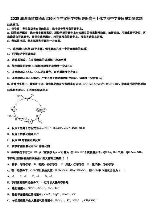 2025届湖南省常德市武陵区芷兰实验学校历史班高三上化学期中学业质量监测试题含解析