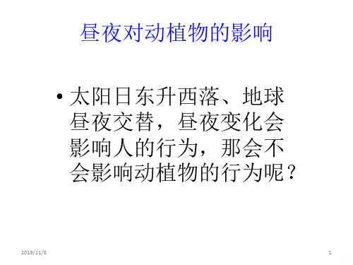 新昼夜对动植物的影响PPT课件