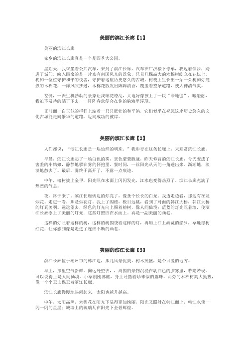 美丽的滨江长廊作文
