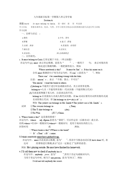 人教新目标九年级(新)第八单元导学案