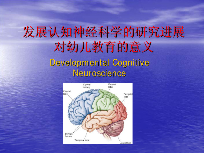 发展认知神经科学的研究进展
