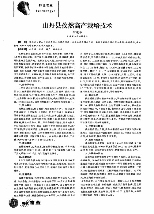山丹县孜然高产栽培技术