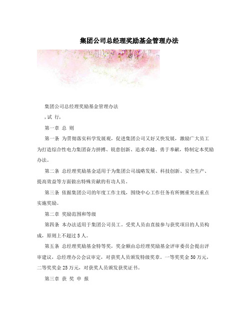 集团公司总经理奖励基金管理办法