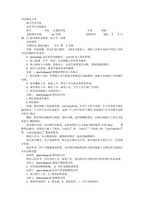 PS冰雕实验报告