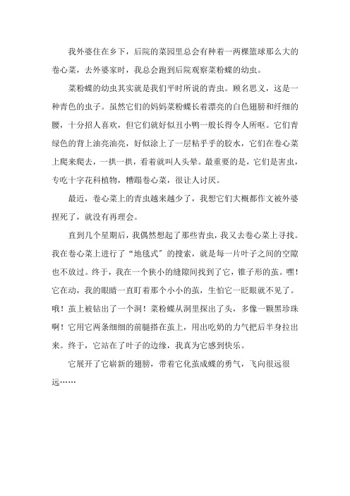 化茧成蝶作文500字精选