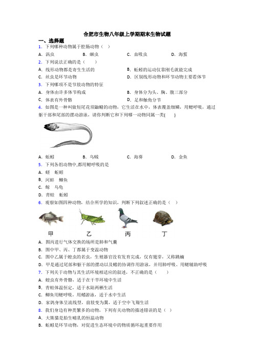 合肥市生物八年级上学期期末生物试题