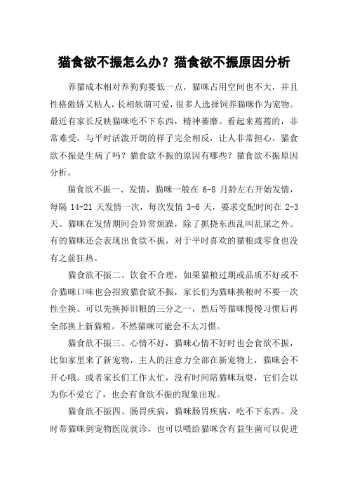 猫食欲不振怎么办？猫食欲不振原因分析