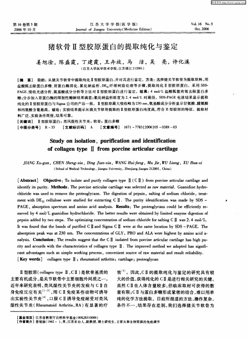 猪软骨Ⅱ型胶原蛋白的提取纯化与鉴定