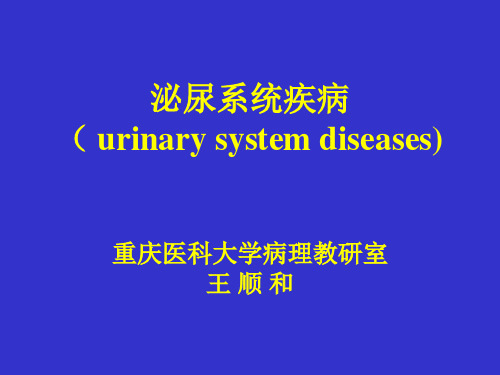 病理学课件之泌尿系统疾病