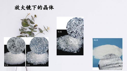 六年级下 - 放大镜下的晶体 教科版ppt完美课件( 13张ppt)