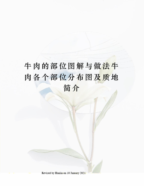 牛肉的部位图解与做法牛肉各个部位分布图及质地简介