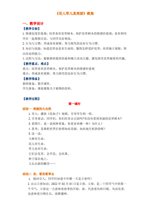 《花儿草儿真美丽》教案
