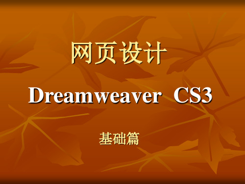 网页设计Dreamweaver  CS3教程1-6章(基础篇)