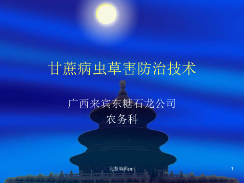 甘蔗病虫草害防治技术appt课件