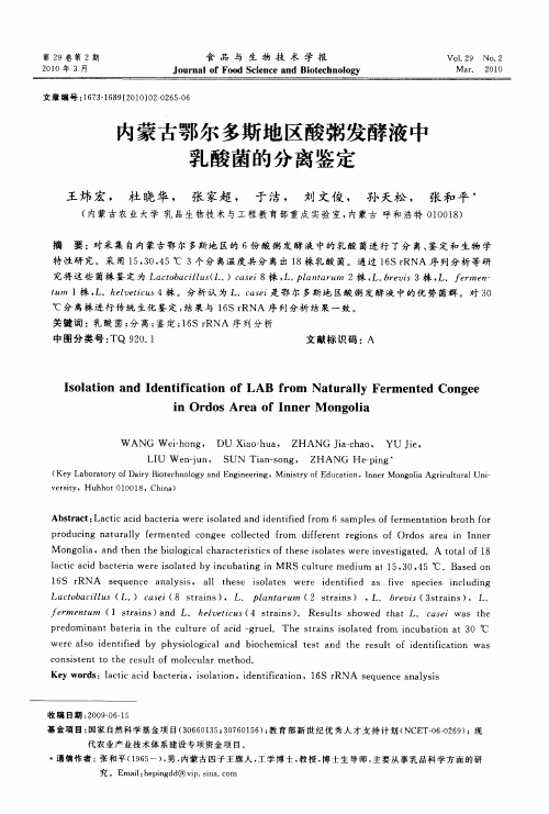 内蒙古鄂尔多斯地区酸粥发酵液中乳酸菌的分离鉴定