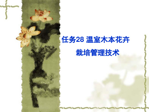 任务28  温室木本花卉观花类香花类