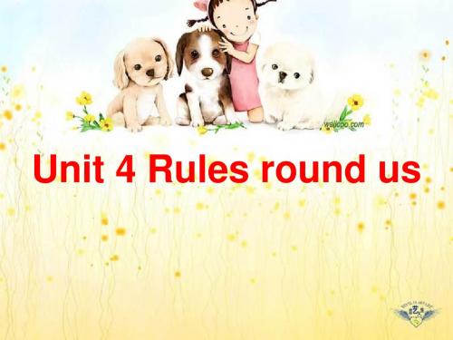 6a2.4Rules around us