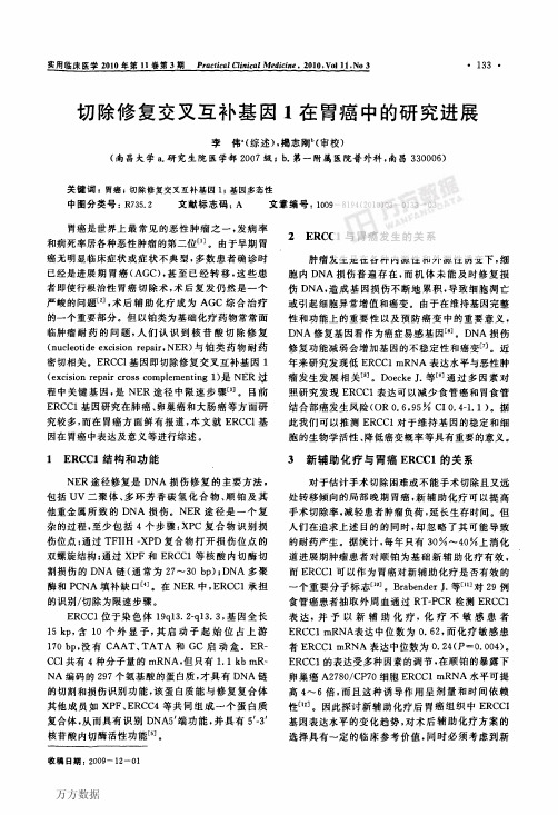 切除修复交叉互补基因1在胃癌中的研究进展
