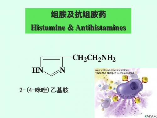 组胺及抗组胺药