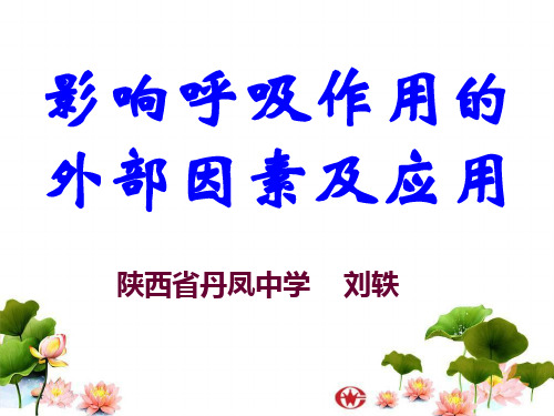 影响呼吸作用的外部因素及应用