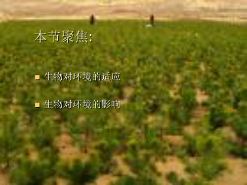 第三节生物对环境的适应和影响20页PPT