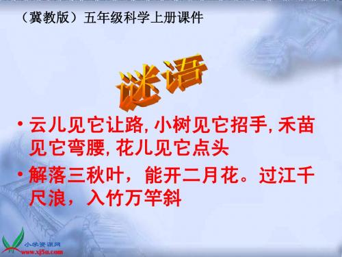 《风的形成》PPT课件