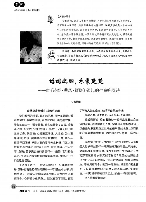 蜉蝣之羽,衣裳楚楚——由《诗经·曹风·蜉蝣》领起的生命咏叹诗