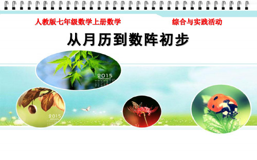 人教版七年级数学上册数学 综合与实践活动