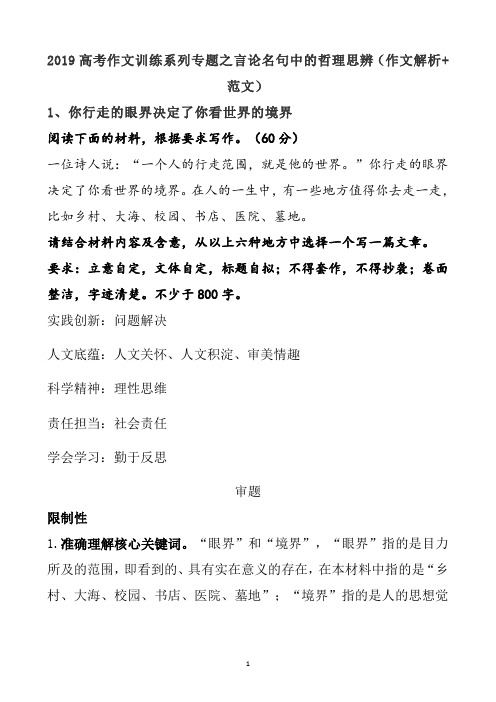 2019高考作文训练系列专题之哲理思辨(含作文解析与范文)