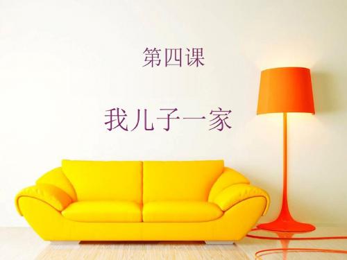 必修四 第四课 我儿子一家 词语