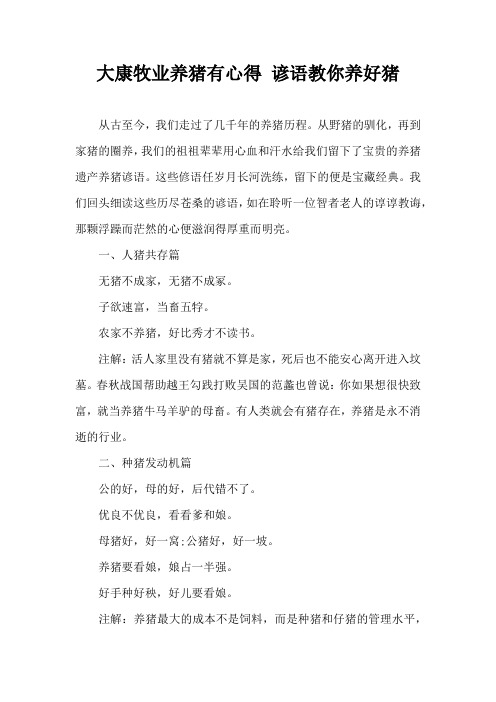 大康牧业养猪有心得 谚语教你养好猪
