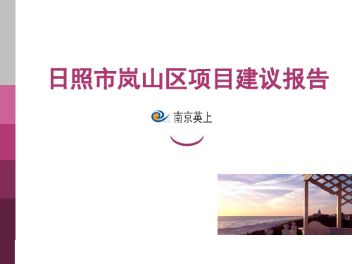 日照市岚山区项目定位建议报告
