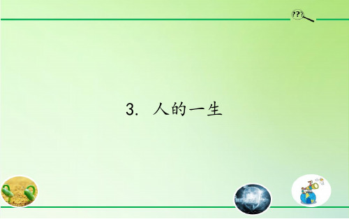六年级科学下册课件-3. 人的一生2-青岛版