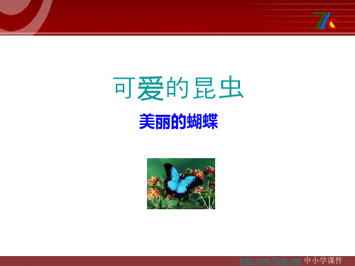 岭南版美术三上第7课《可爱的水墨昆虫》ppt课件3