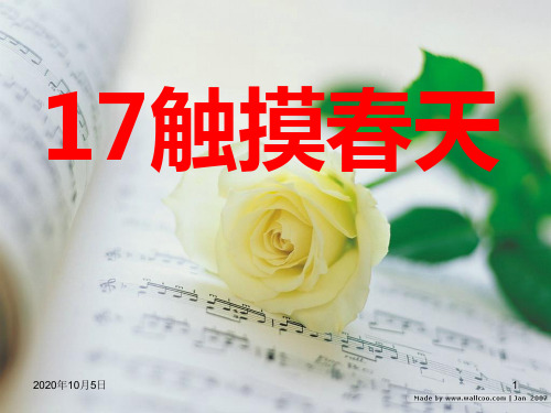 人教版四年级语文下册《触摸春天》课件PPT课件