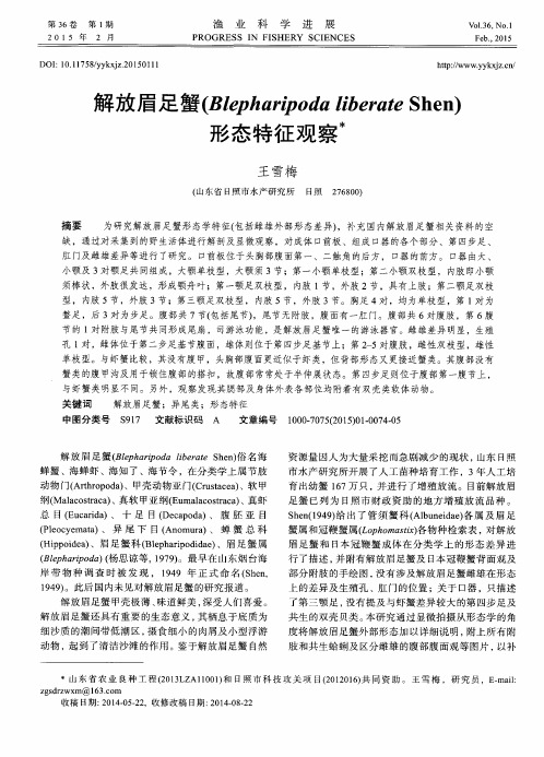 解放眉足蟹(Blepharipoda liberate Shen)形态特征观察