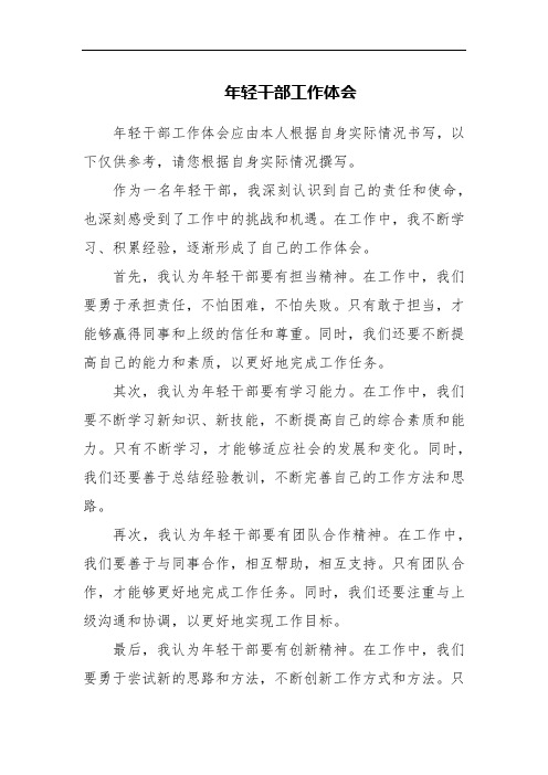 年轻干部工作体会