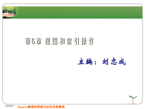 视图和索引操作课件讲义.pptx