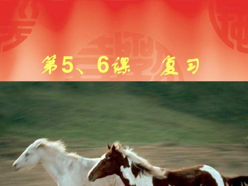 人教版七年级历史下册第5、6课复习(张凤瑜)