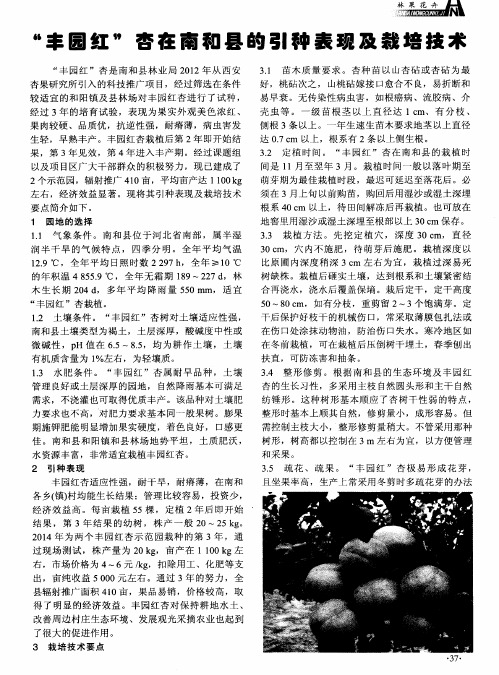 ＂丰园红＂杏在南和县的引种表现及栽培技术